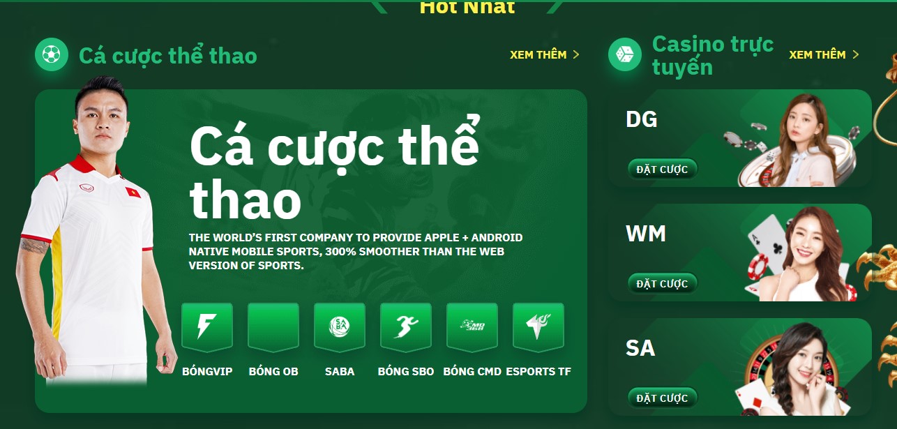 Bongvip - Tổng hợp thế mạnh và link mới nhất cho dân cược 2 Thế mạnh của nhà cái Bongvip