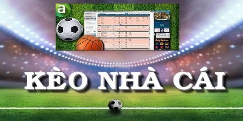 Kèo Nhà Cái - Nắm Bắt Cơ Hội, Nhận Ngay Thưởng Khủng 2 Cung cấp nhận định thể thao hay ho và bổ ích